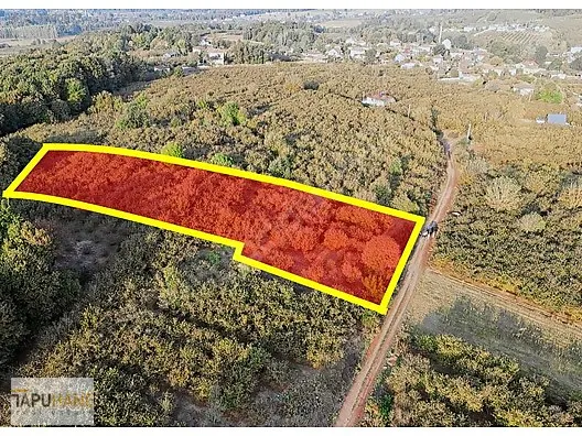 TAPUHANEDEN Y. ÇALICA KÖYÜNDE 3 DÖNÜM SATILIK FINDIKLIK