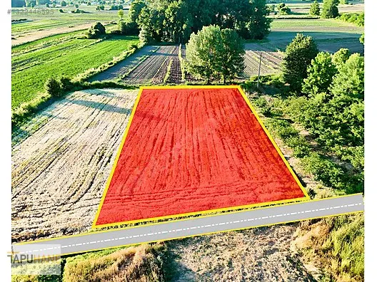 TAPUHANE'DEN Y. ÇALICADA 1618 M2 SATILIK TARLA