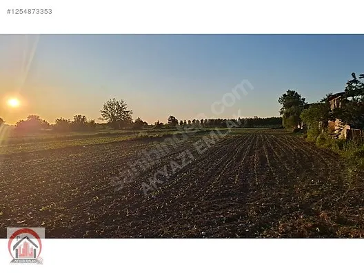 AKYAZI EMLAKTA KARAÇALILIK'TA İMAR SINIRINDA 4 DÖNÜM TARLA